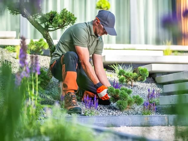 Landscapers planting and shaping a new garden bed