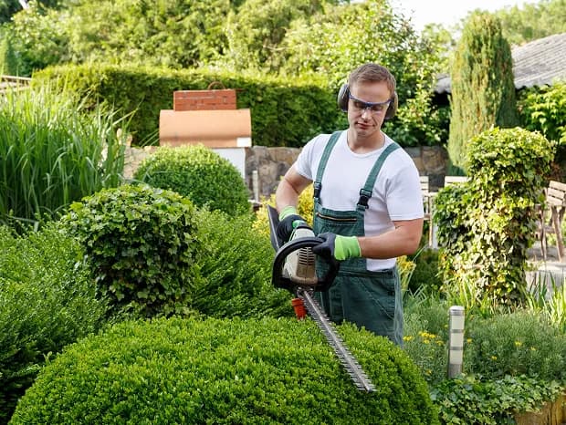 Gardener providing ongoing care and maintenance in a thriving garden