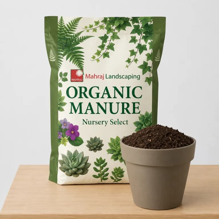 Organic Manure