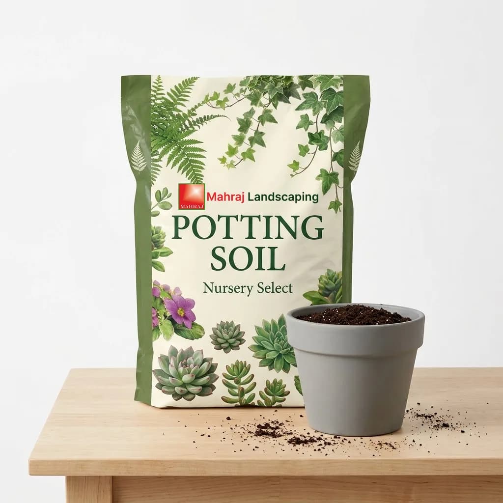 Potting Soil