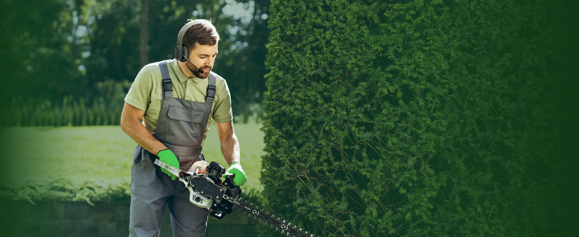 Tree & Shrub Trimming
