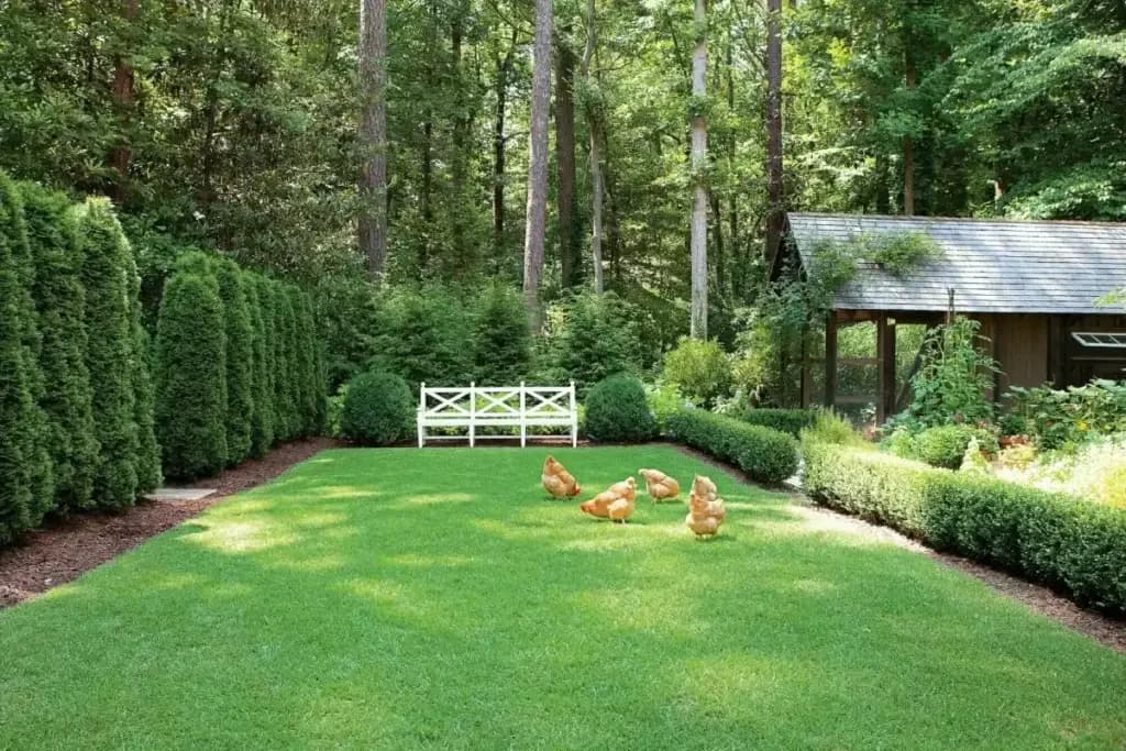 Urban terrace garden with trees and raised planting beds